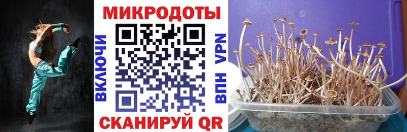 как найти   площадка официальный сайт  Галлюциногенные грибы прущие грибы  Гаджиево 