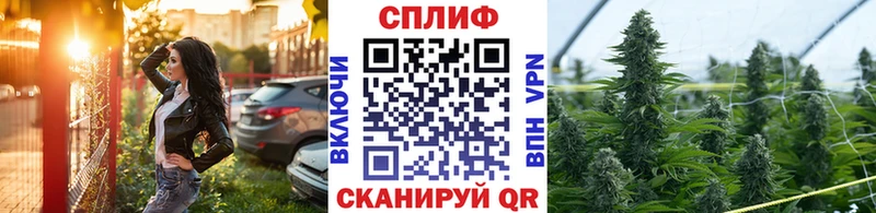 кракен ТОР Гаджиево Марихуана гибрид